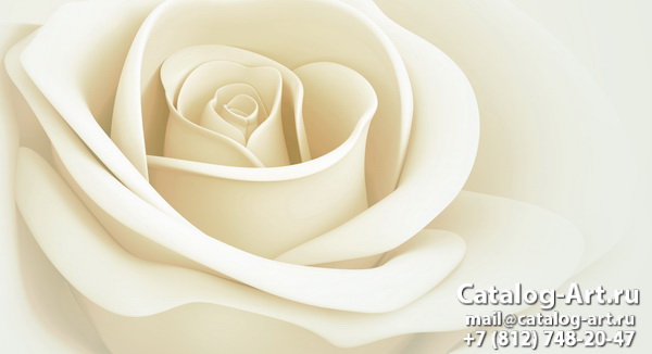 White roses 2